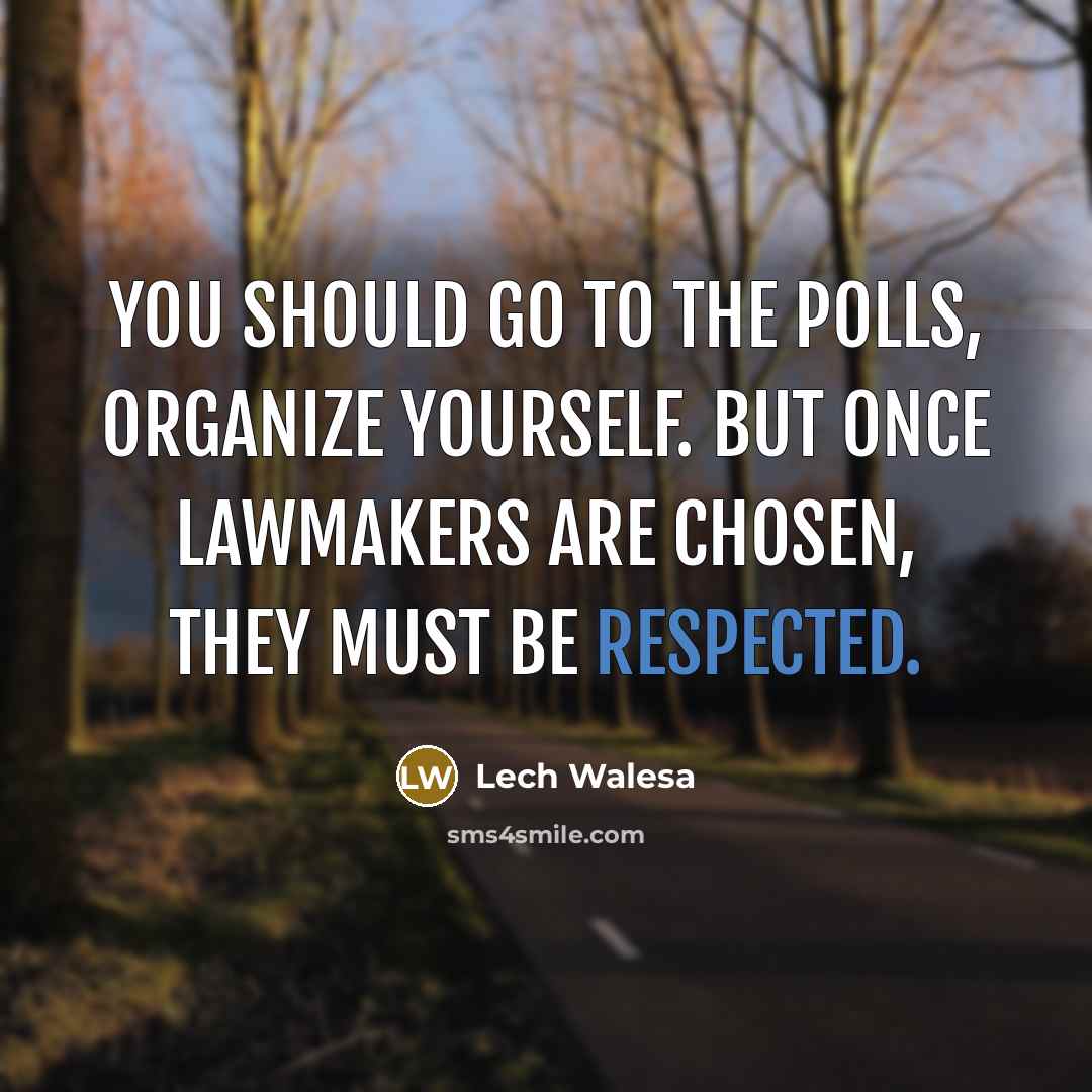 “You should go to the polls, organize yourself. But once…” quote by Lech Walesa