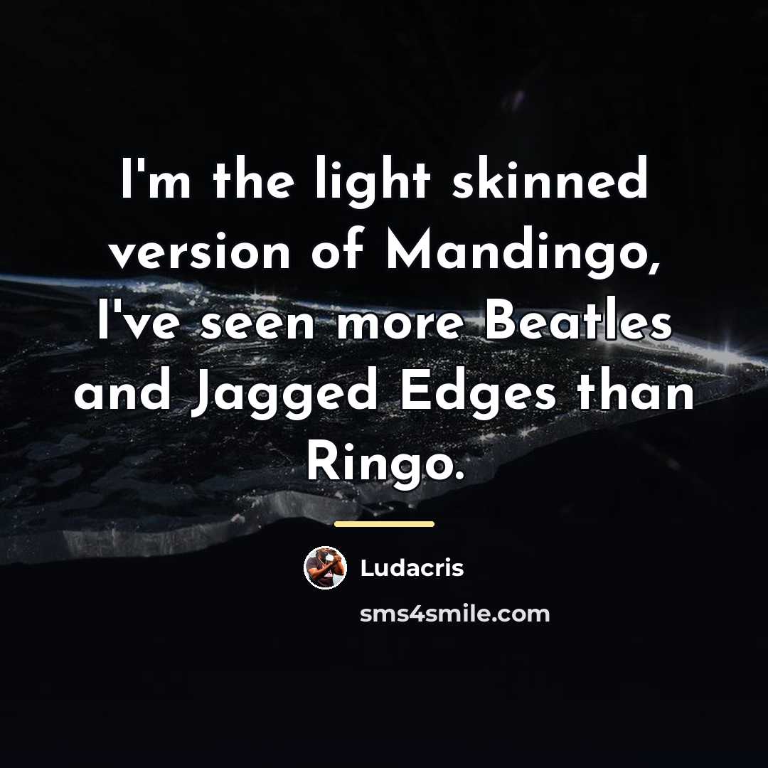 “I'm the light skinned version of Mandingo, I've seen more…” quote by Ludacris