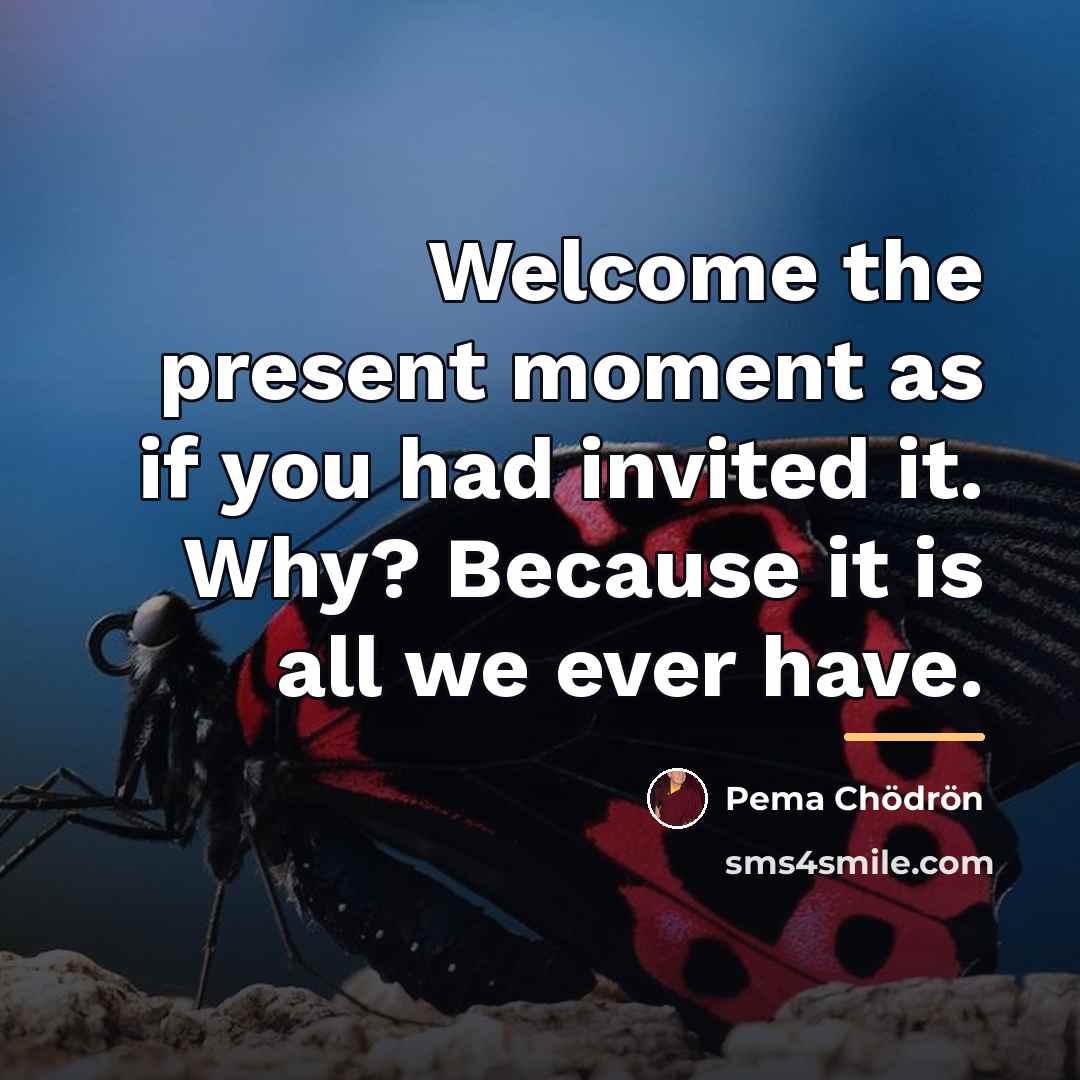 “Welcome the present moment as if you had invited it.…” quote by Pema Chodron