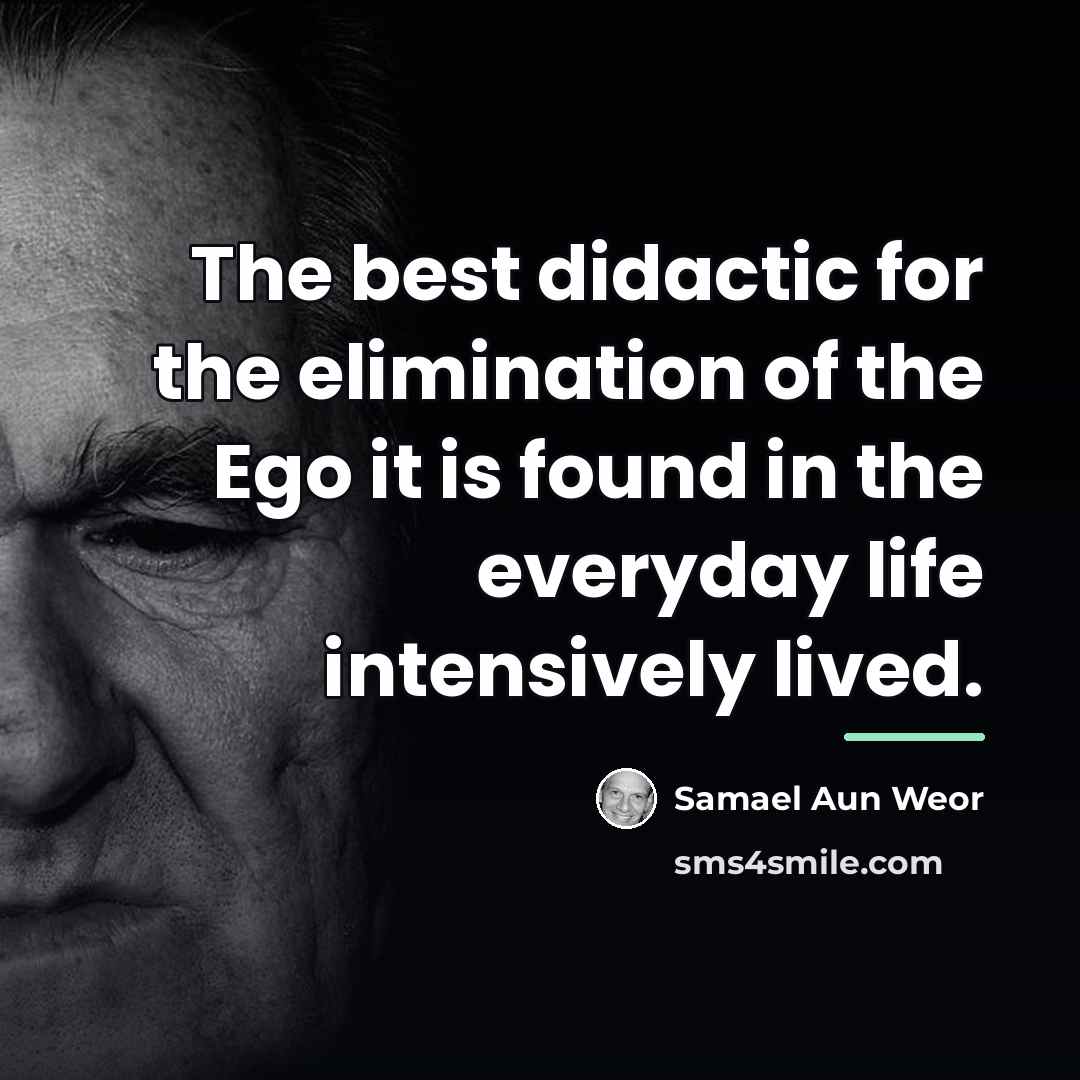 “The best didactic for the elimination of the Ego it…” quote by Samael Aun Weor