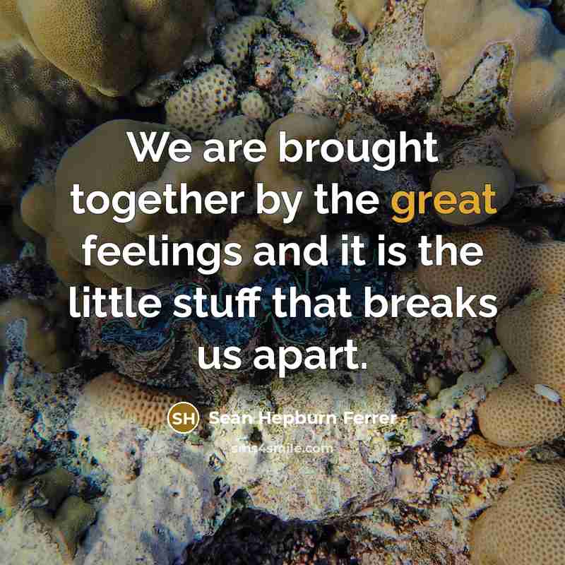 “We are brought together by the great feelings and it…” quote by Sean Hepburn Ferrer