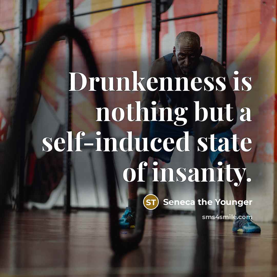 “Drunkenness is nothing but a self-induced state of insanity.…” quote by Seneca the Younger