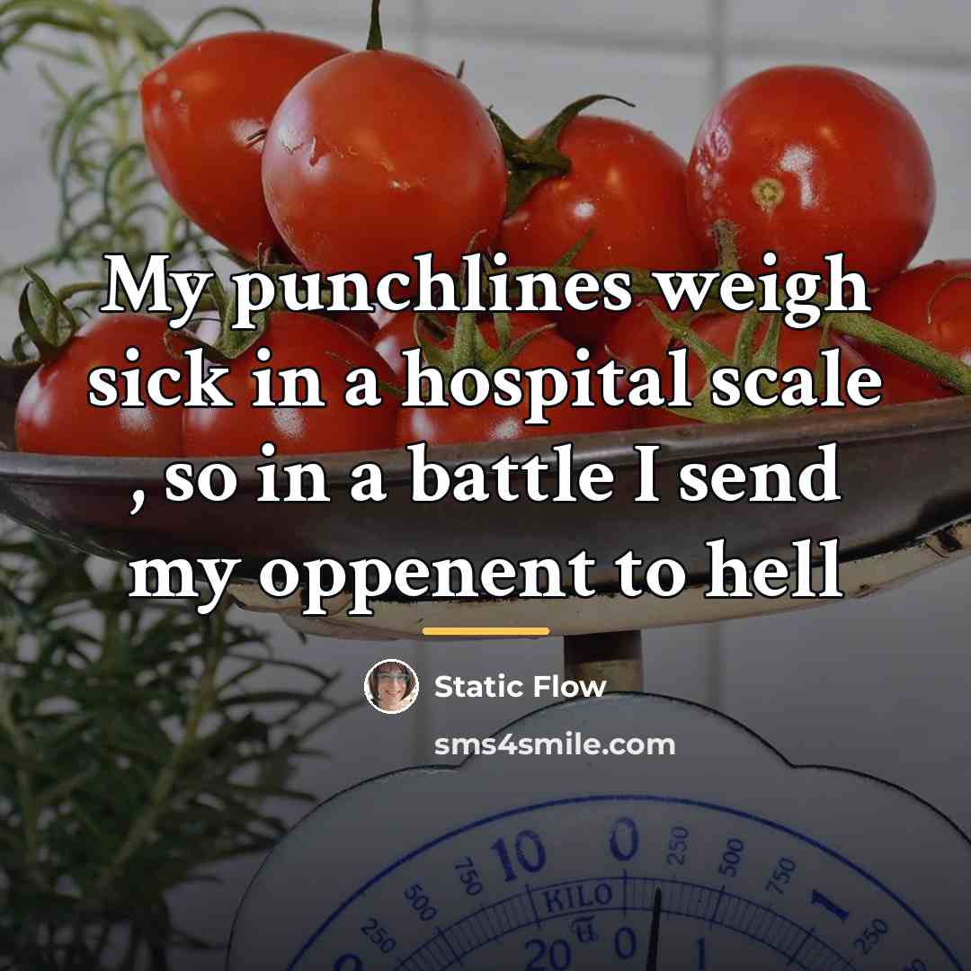 “My punchlines weigh sick in a hospital scale , so…” quote by Static Flow