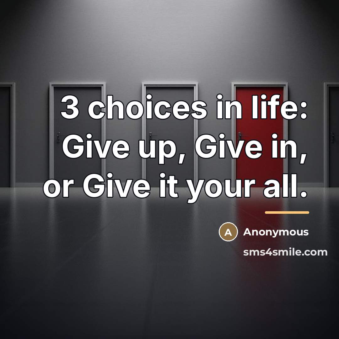 “3 choices in life: Give up, Give in, or Give…” quote by Anonymous