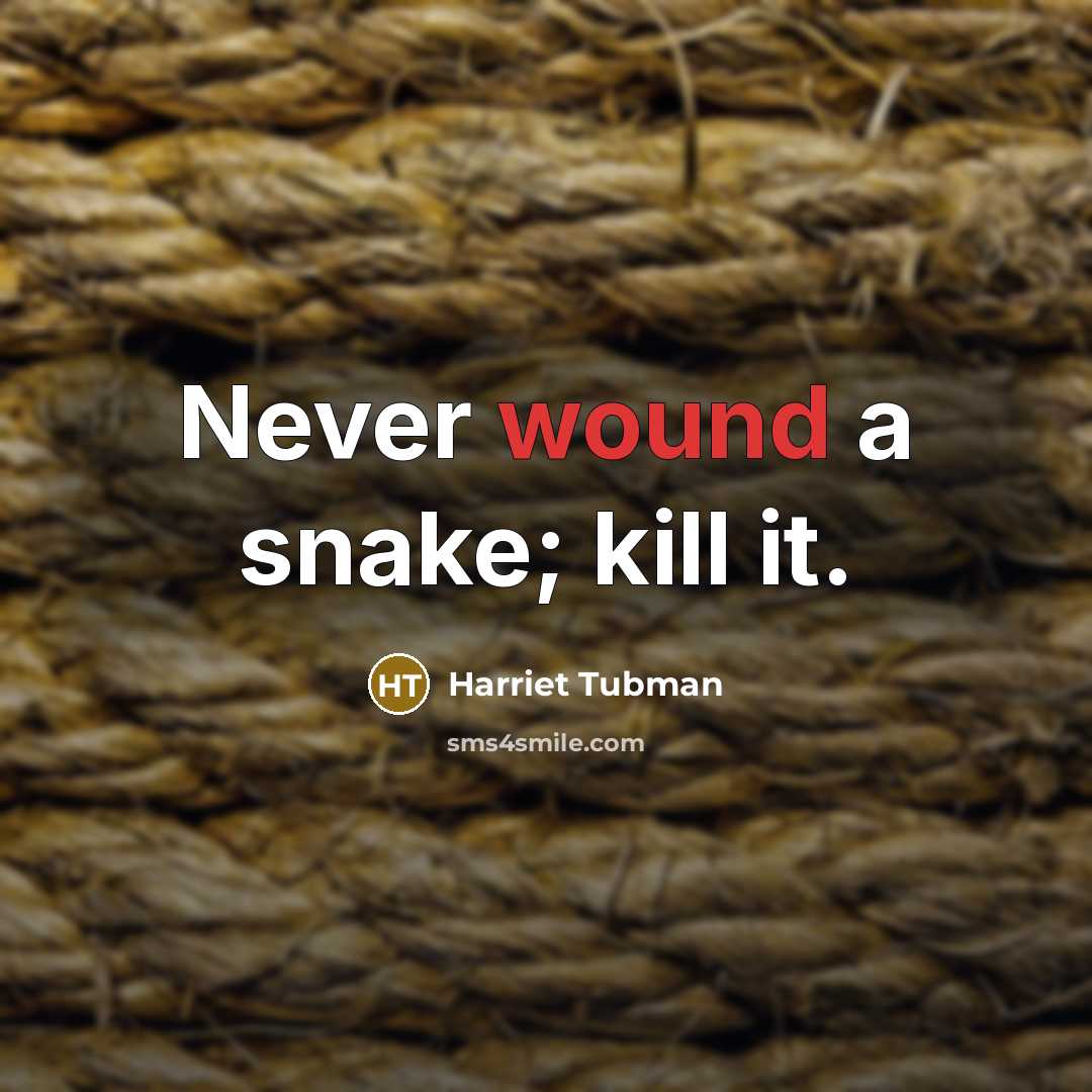 “Never wound a snake; kill it.…” quote by Harriet Tubman