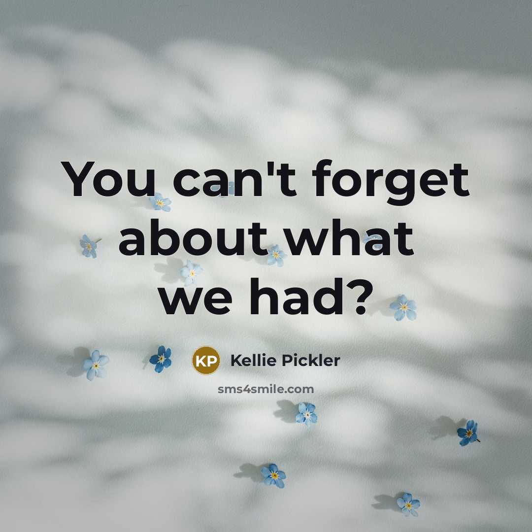 “You can't forget about what we had?…” quote by Kellie Pickler