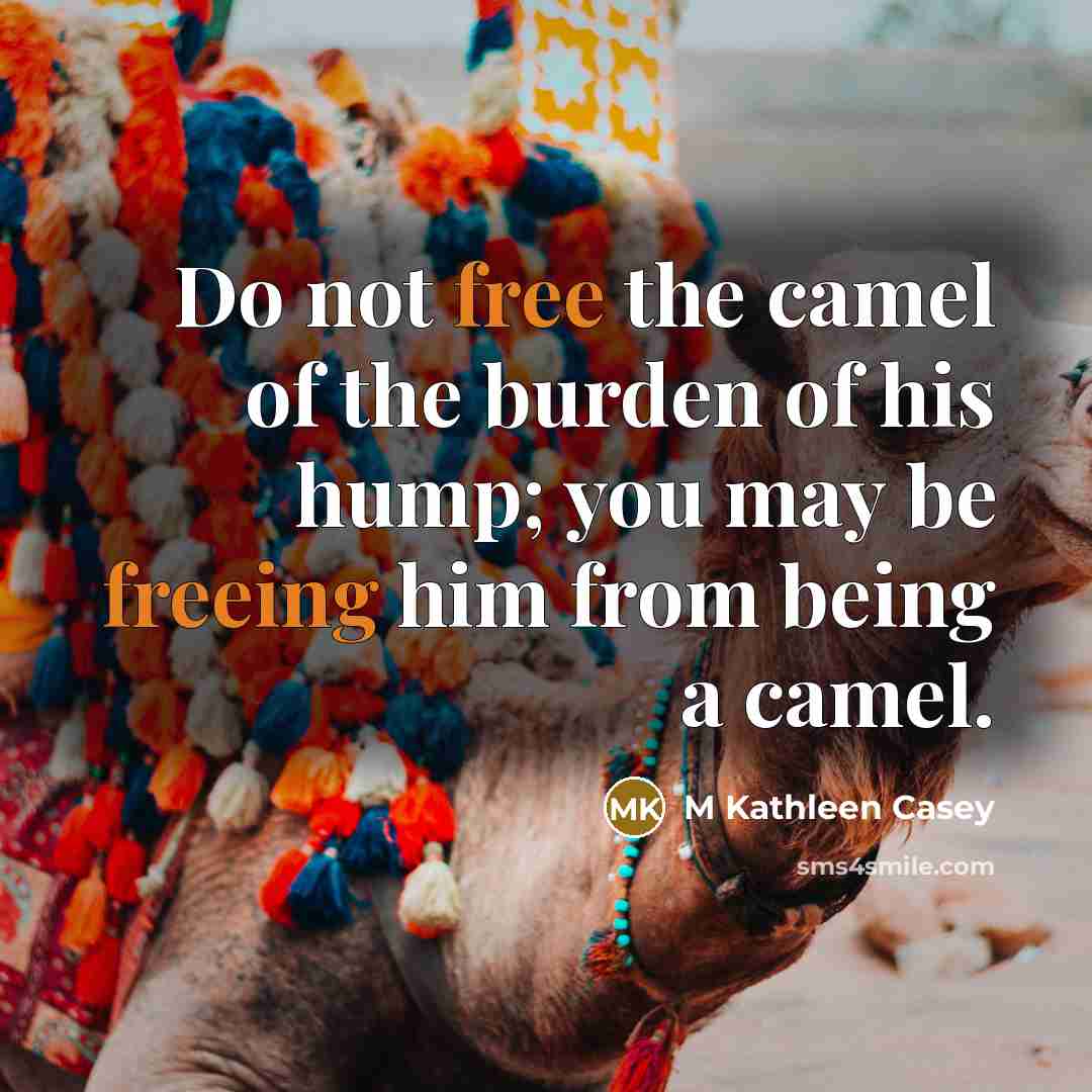 “Do not free the camel of the burden of his hump; you may be freeing him from being a camel.” quote by M Kathleen Casey