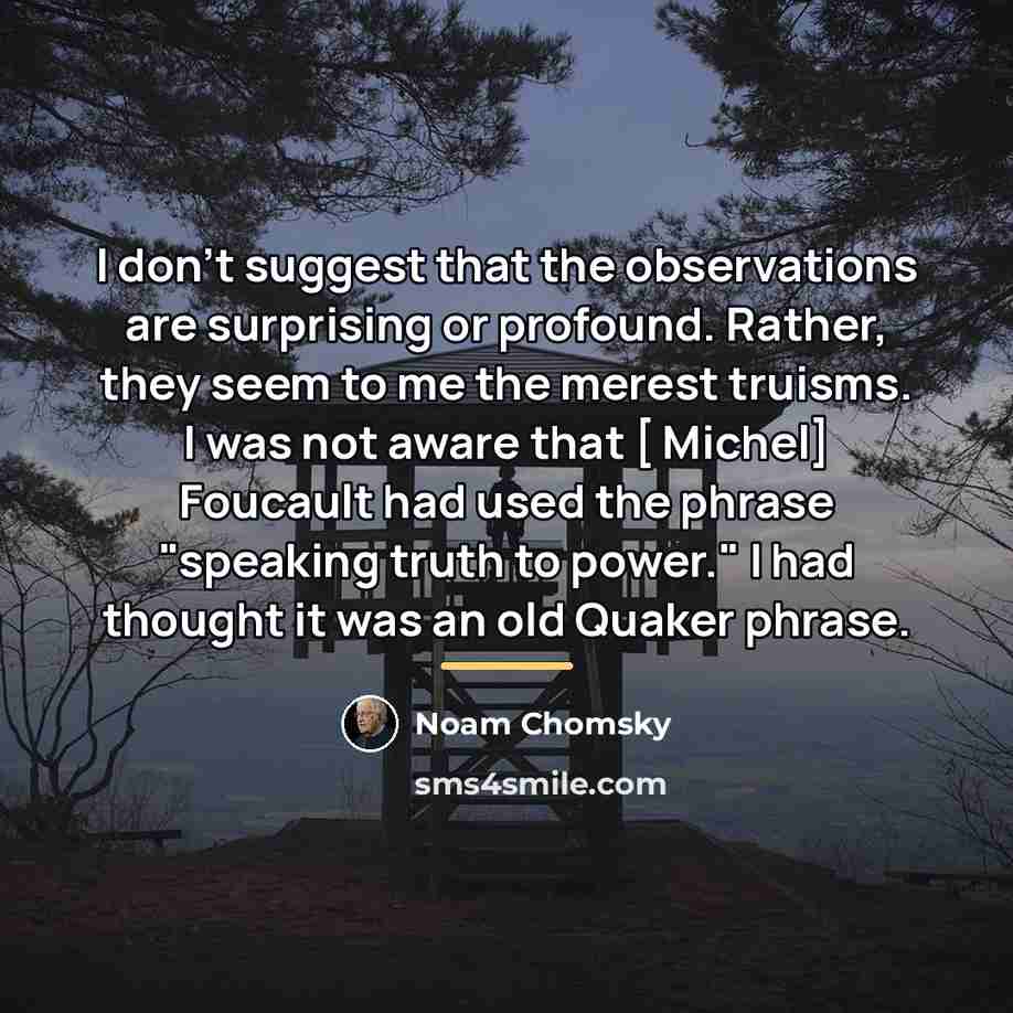“I don't suggest that the observations are surprising or profound.…” quote by Noam Chomsky