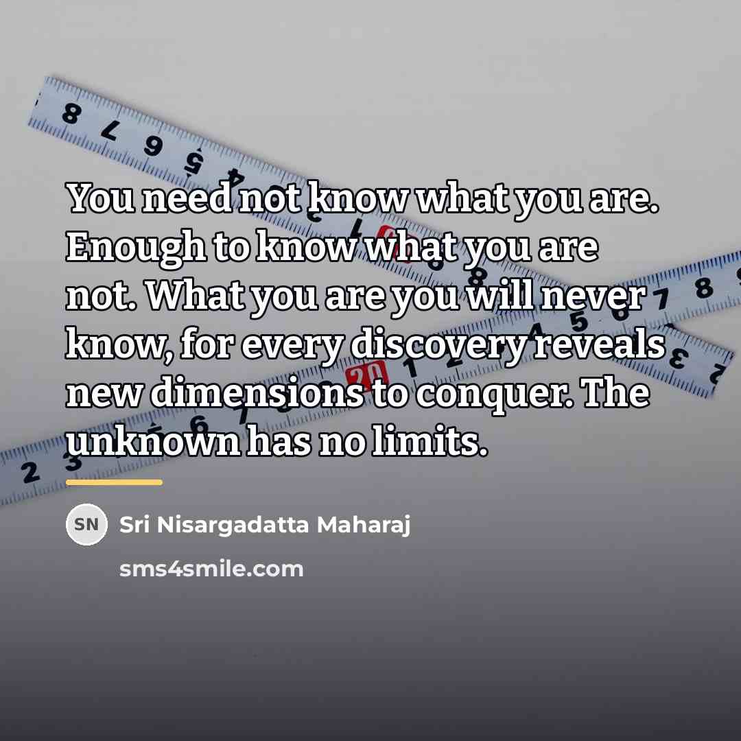 “You need not know what you are. Enough to know…” quote by Sri Nisargadatta Maharaj