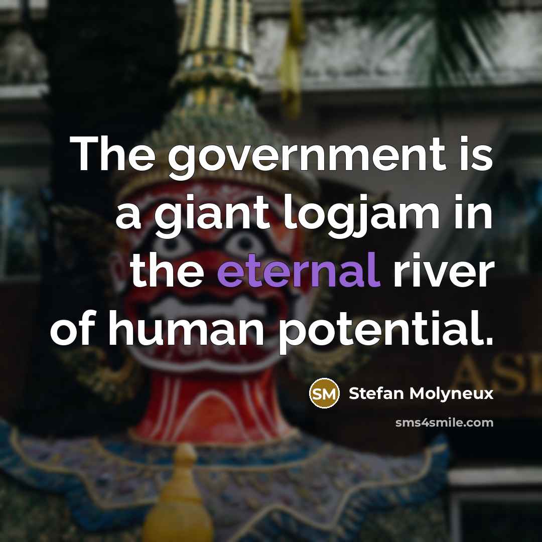 “The government is a giant logjam in the eternal river…” quote by Stefan Molyneux