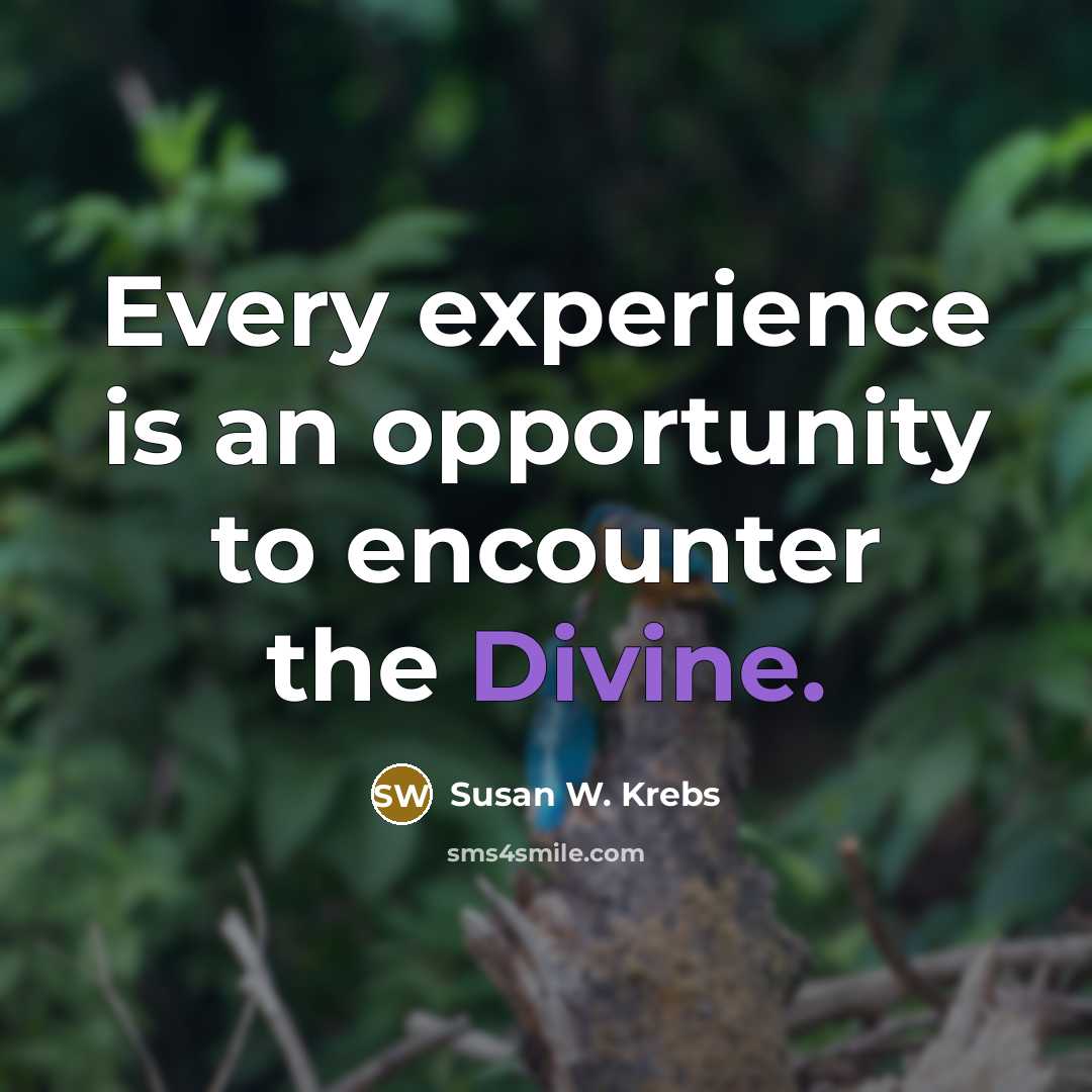 “Every experience is an opportunity to encounter the Divine.…” quote by Susan W. Krebs