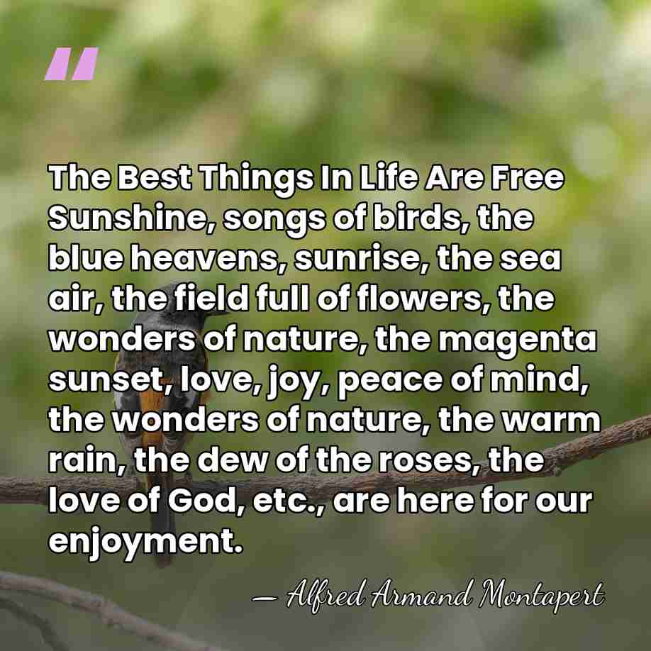 The Best Things In Life Are Free Sunshine, songs of birds, the&hellip; - Alfred Armand Montapert