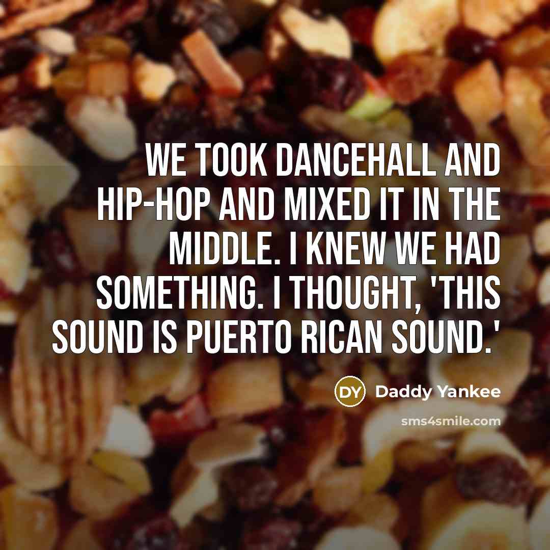 “We took dancehall and hip-hop and mixed it in the…” quote by Daddy Yankee