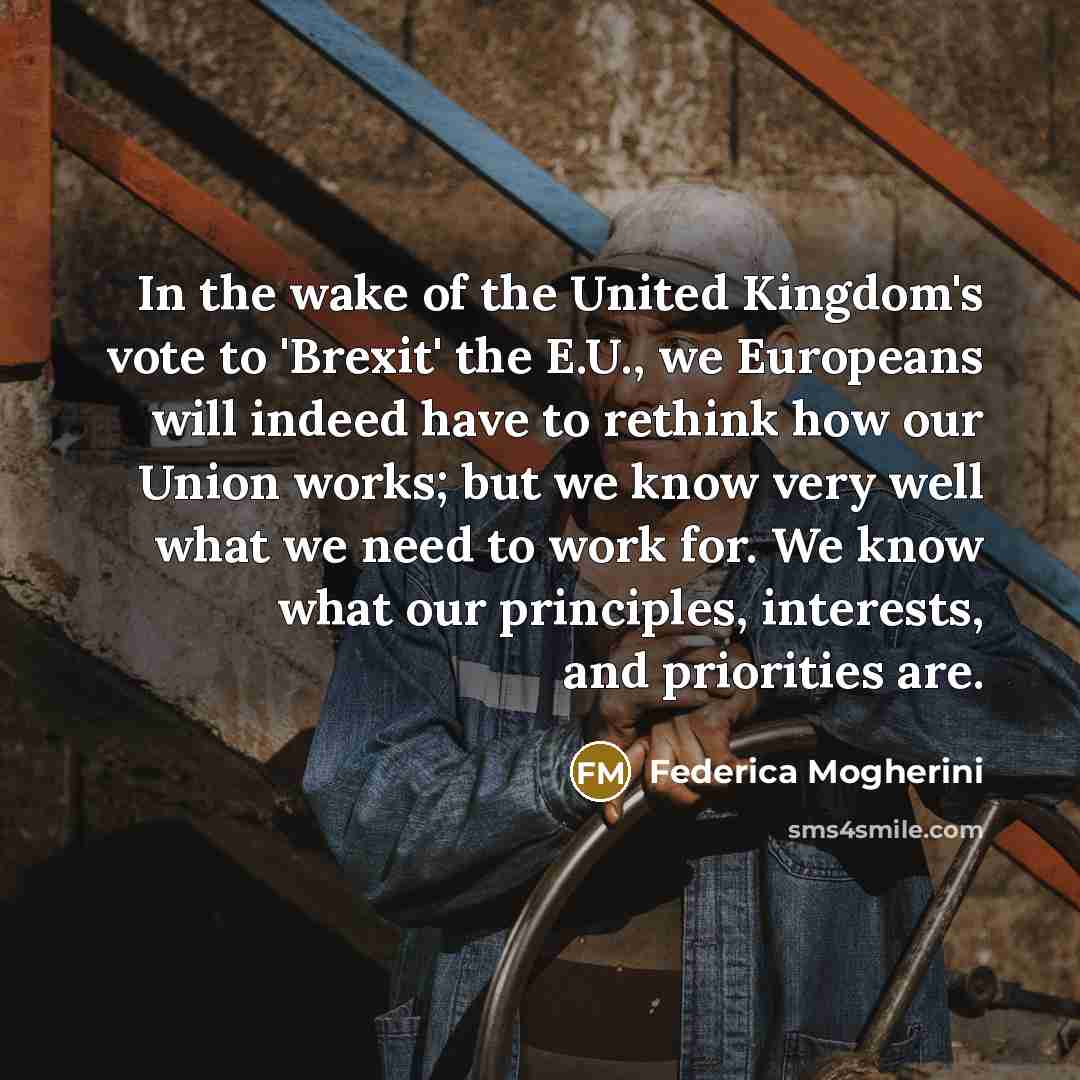 “In the wake of the United Kingdom's vote to 'Brexit'…” quote by Federica Mogherini