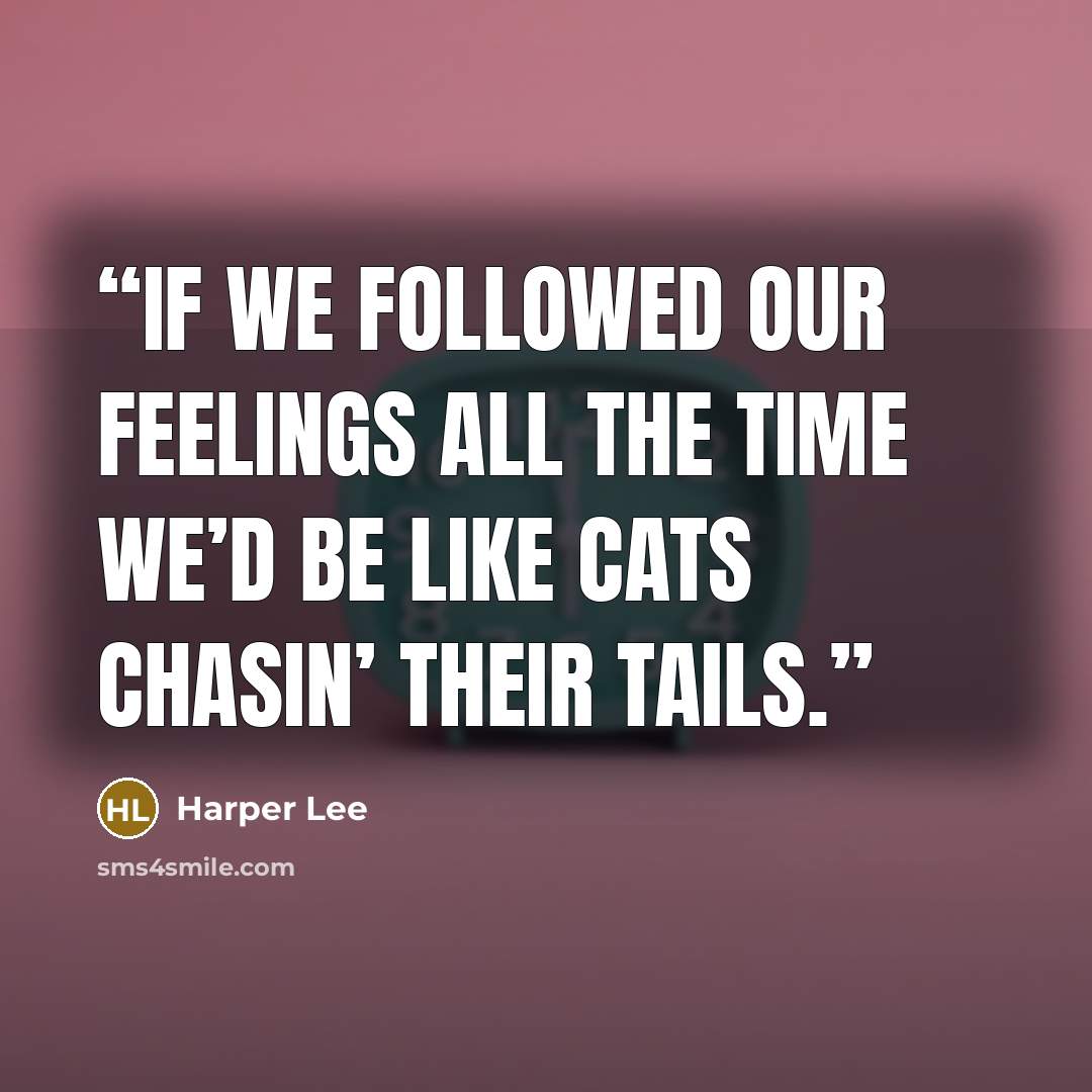 “if we followed our feelings all the time we’d be like cats chasin’ their tails.” quote by Harper Lee