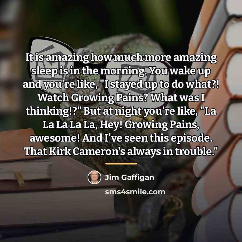 “It is amazing how much more amazing sleep is in…” quote by Jim Gaffigan