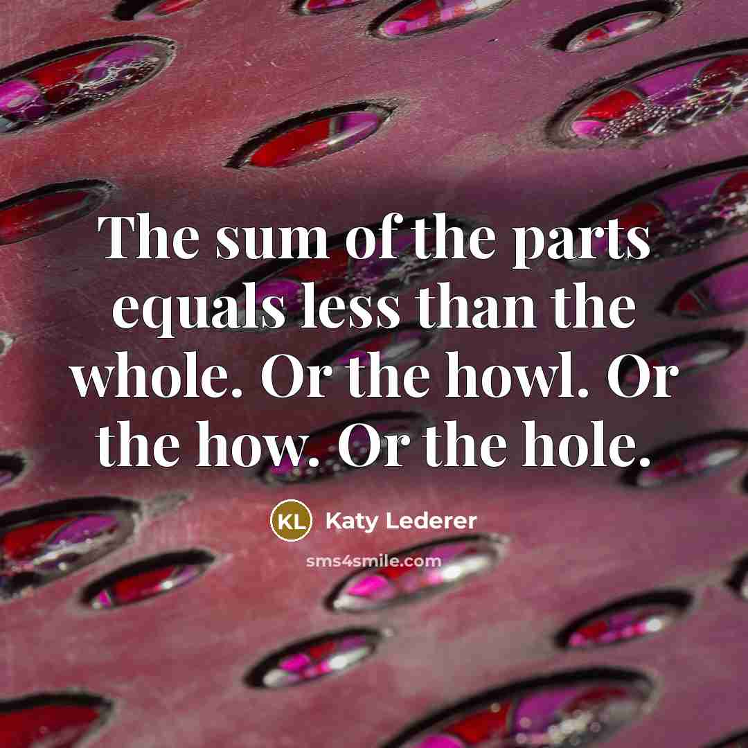 “The sum of the parts equals less than the whole. Or the howl. Or the how. Or the hole.” quote by Katy Lederer