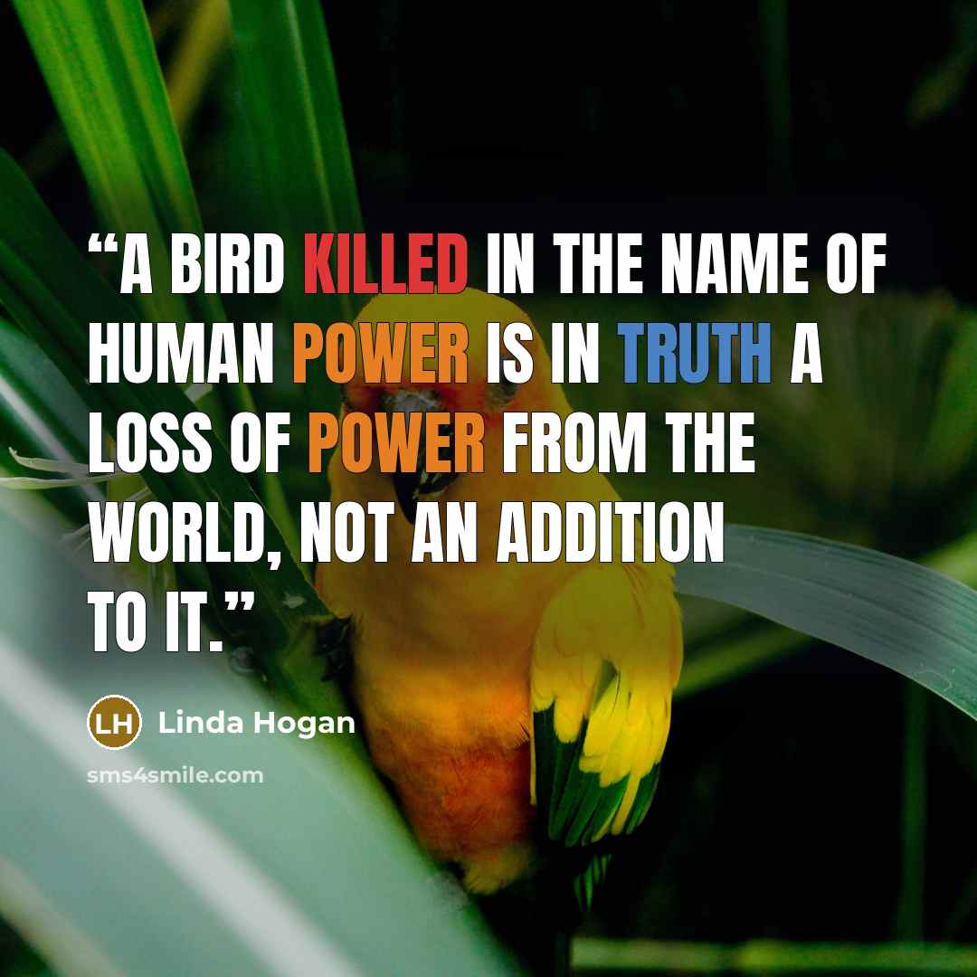 “A bird killed in the name of human power is in truth a loss of power from the world, not an addition to it.” quote by Linda Hogan