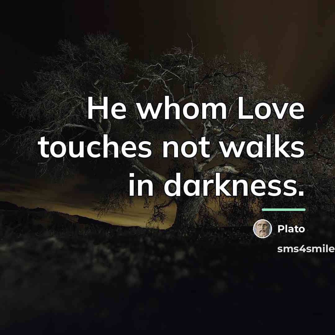 “He whom Love touches not walks in darkness.…” quote by Plato