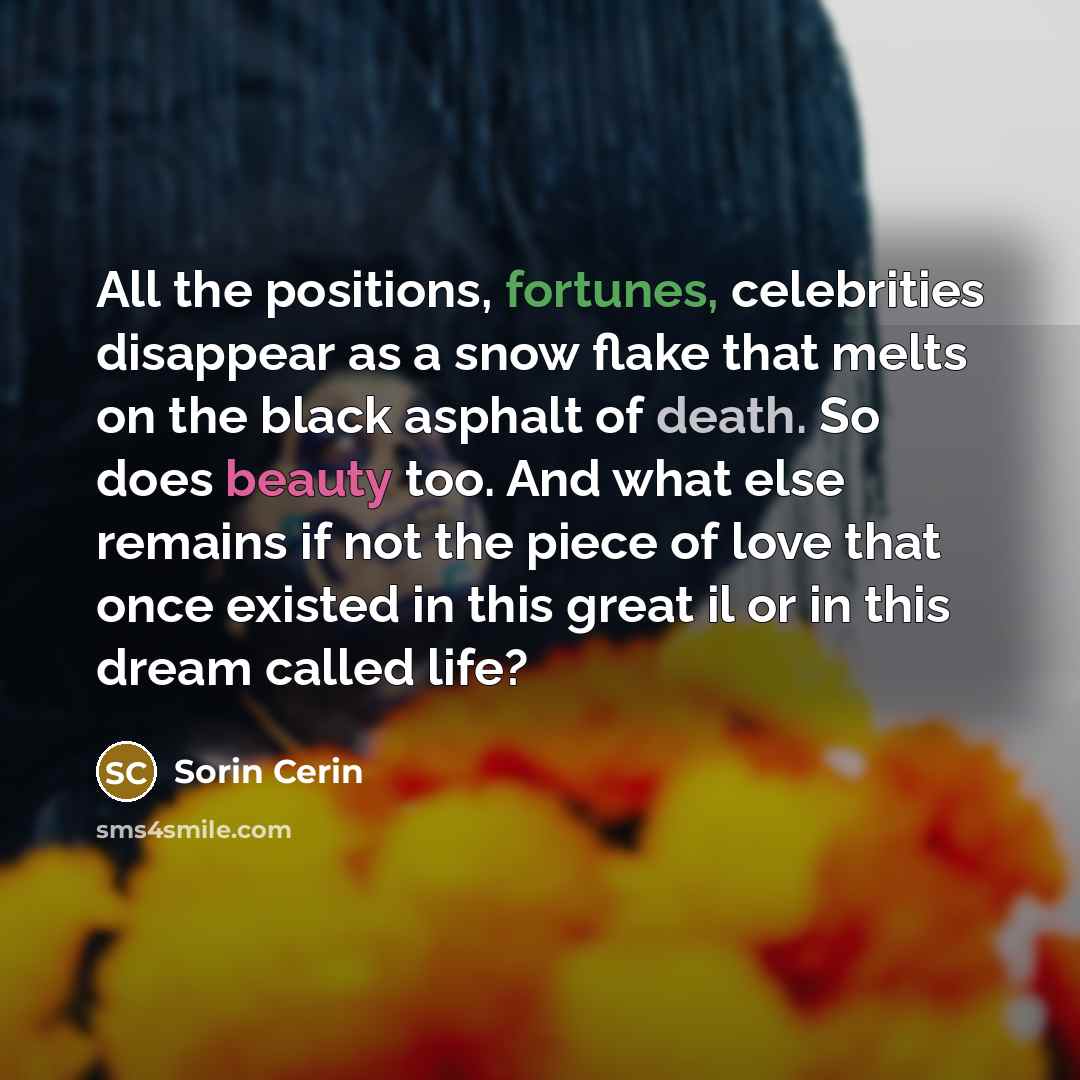 “All the positions, fortunes, celebrities disappear as a snow flake…” quote by Sorin Cerin