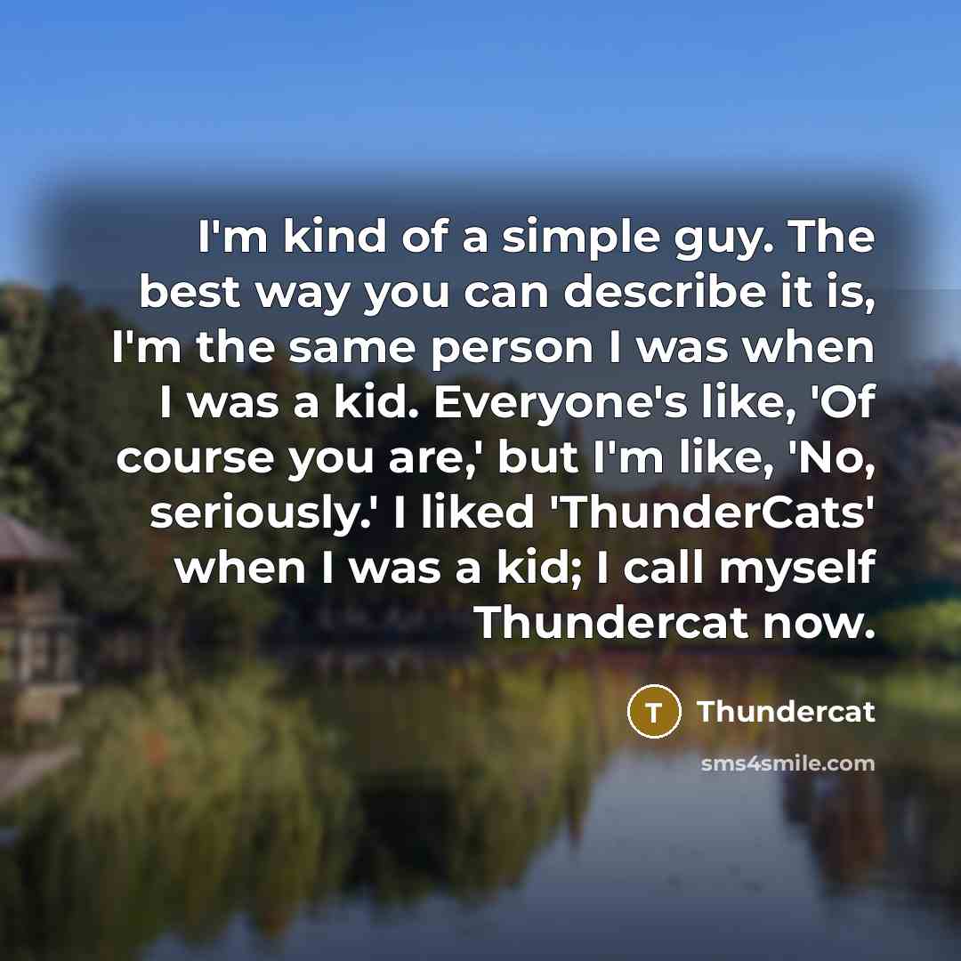 “I'm kind of a simple guy. The best way you…” quote by Thundercat