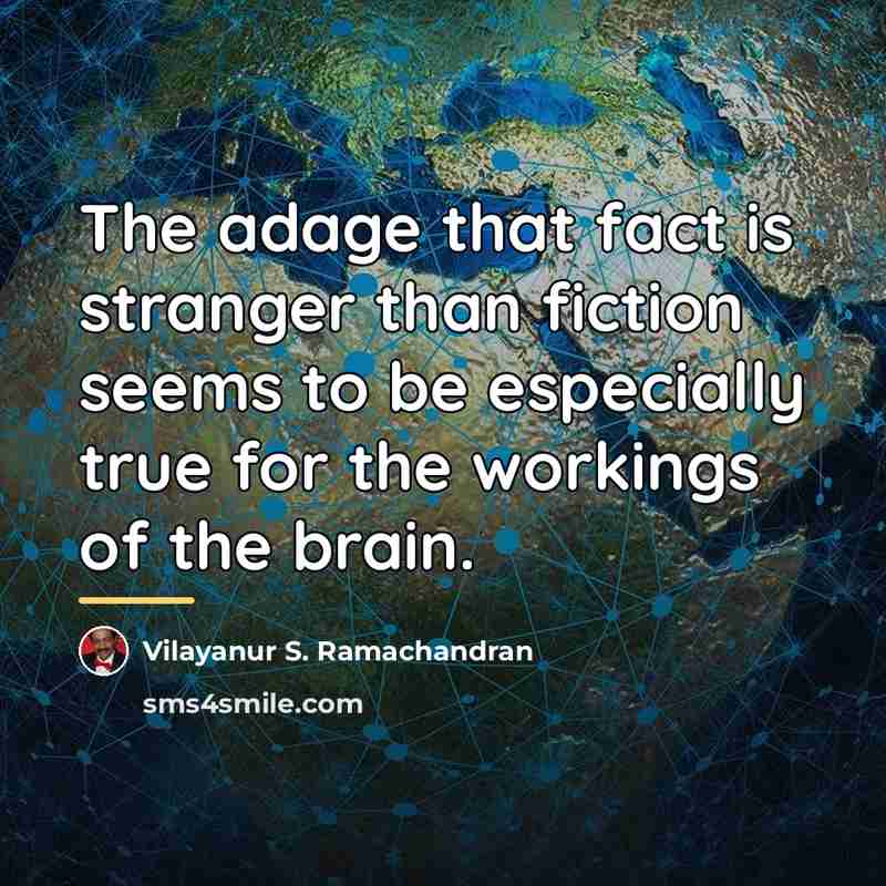 “The adage that fact is stranger than fiction seems to…” quote by Vilayanur S. Ramachandran