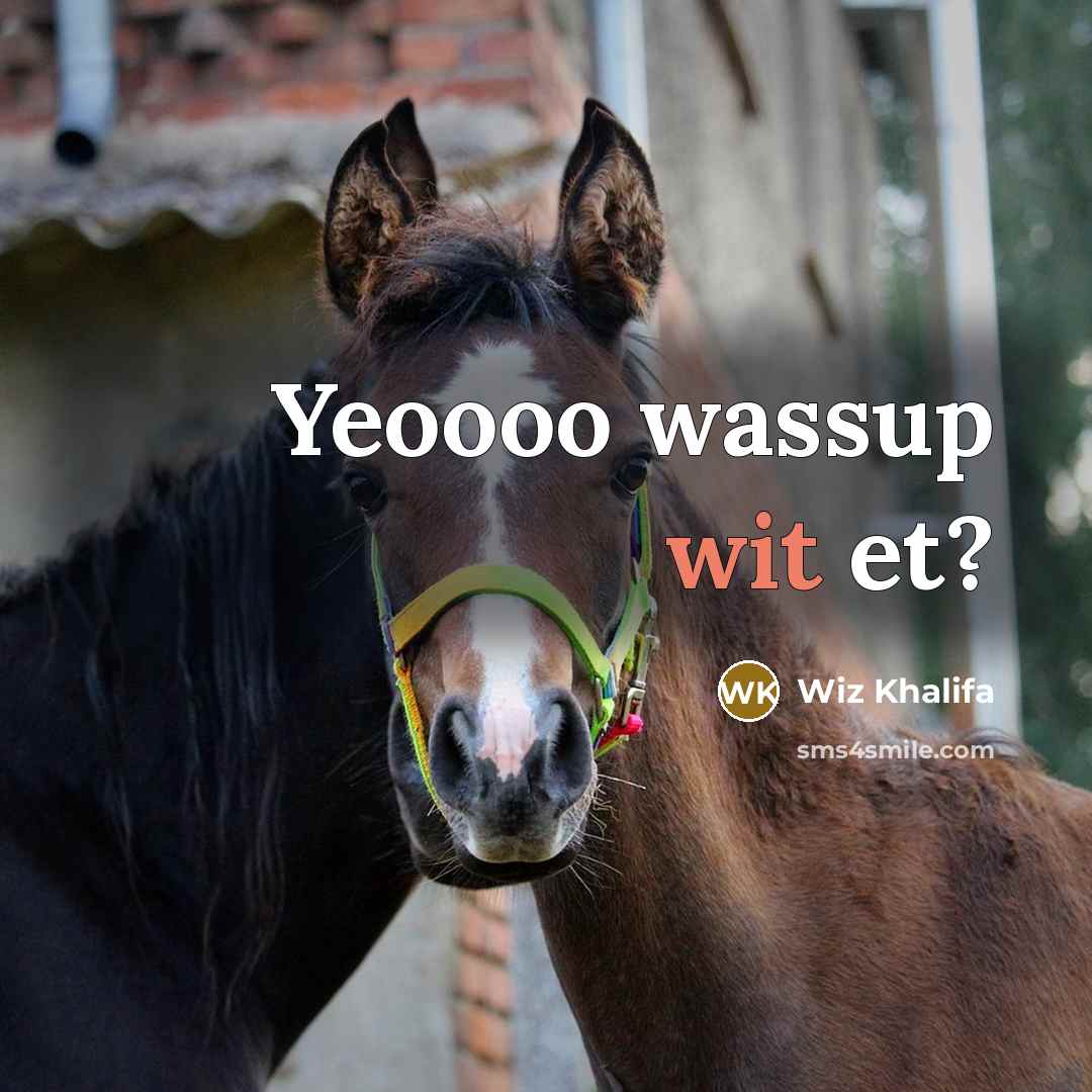 “Yeoooo wassup wit et?…” quote by Wiz Khalifa