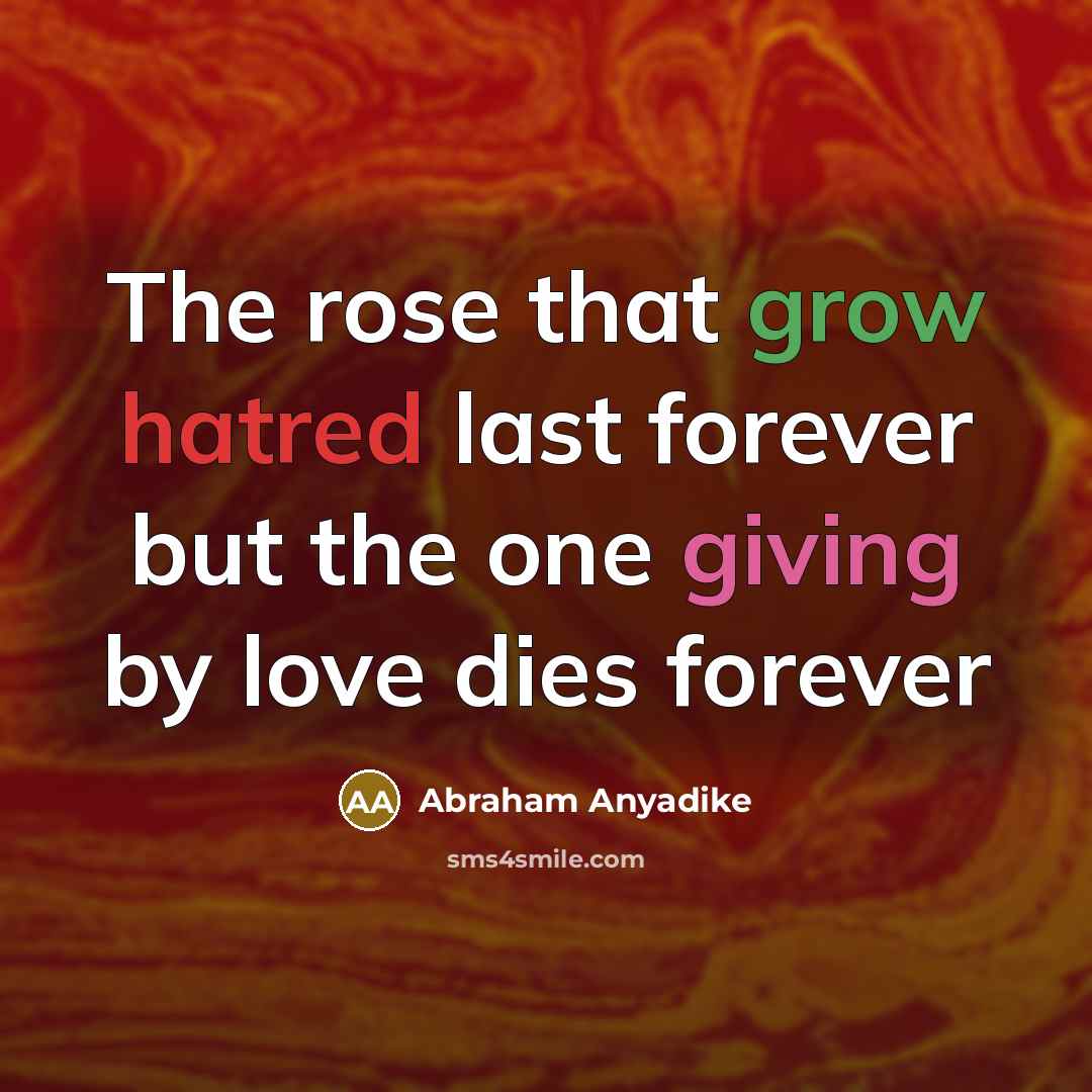 “The rose that grow hatred last forever but the one giving by love dies forever” quote by Abraham Anyadike