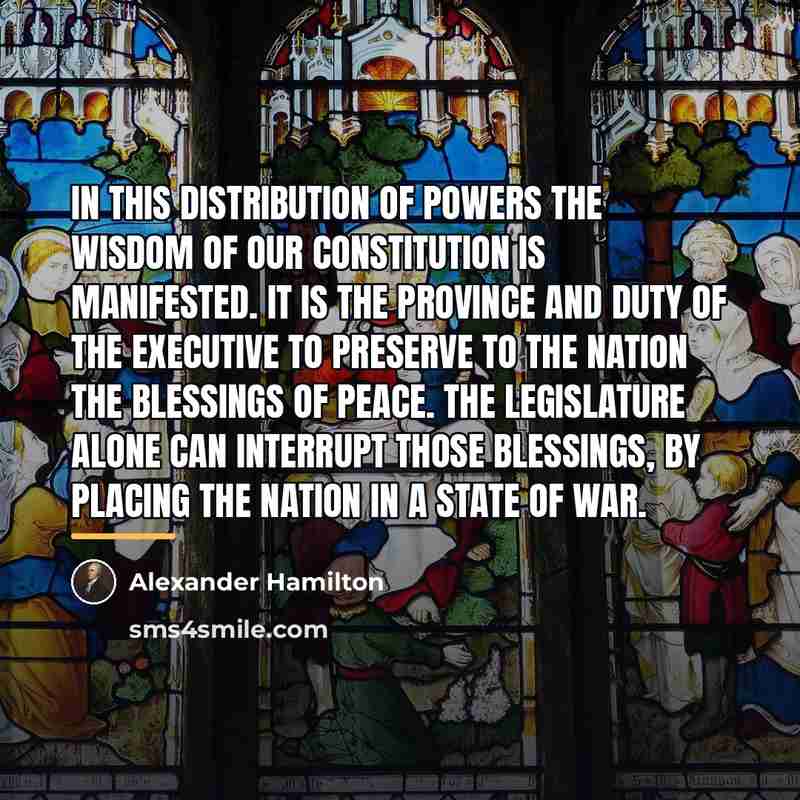 “In this distribution of powers the wisdom of our constitution…” quote by Alexander Hamilton