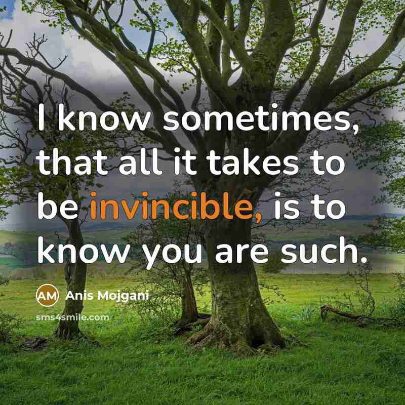 “I know sometimes, that all it takes to be invincible,…” quote by Anis Mojgani