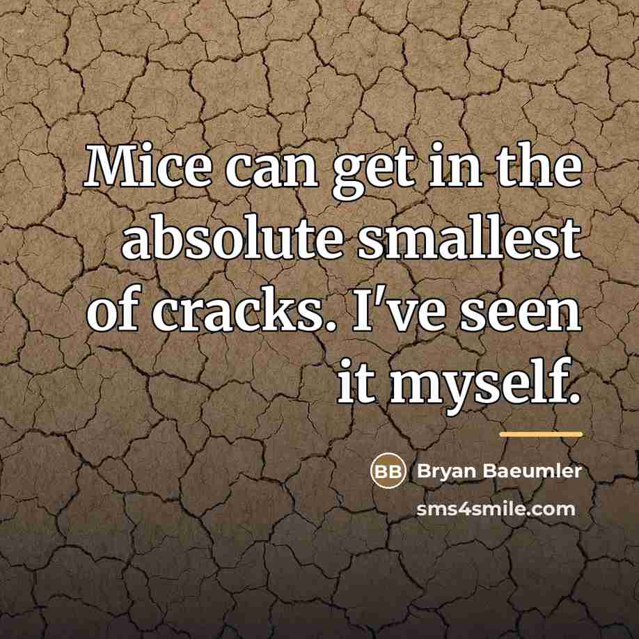 “Mice can get in the absolute smallest of cracks. I've…” quote by Bryan Baeumler