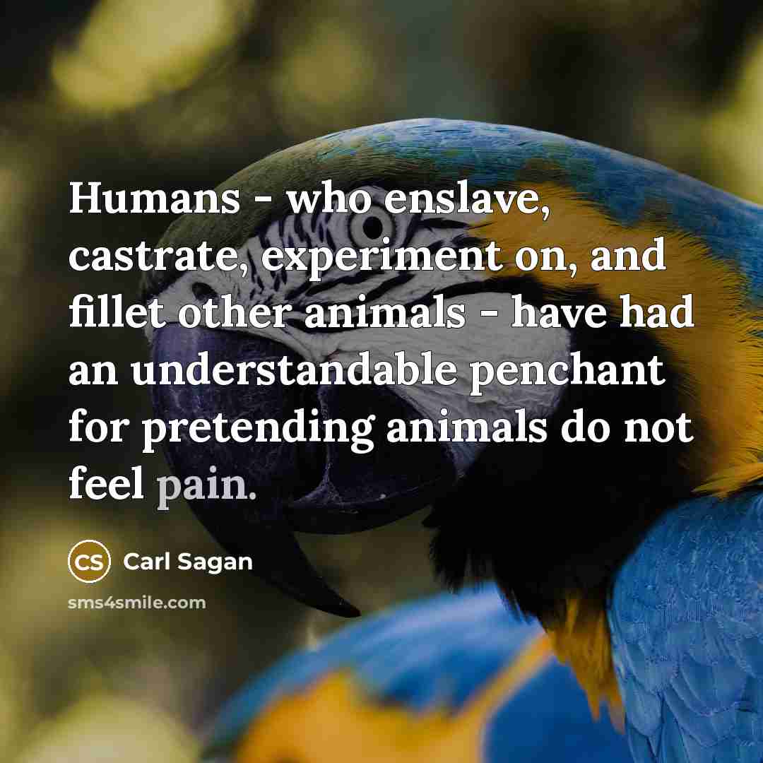 “Humans - who enslave, castrate, experiment on, and fillet other…” quote by Carl Sagan