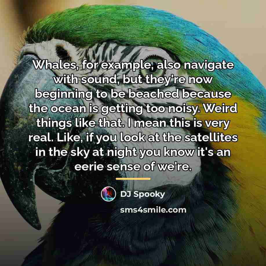“Whales, for example, also navigate with sound, but they're now…” quote by DJ Spooky