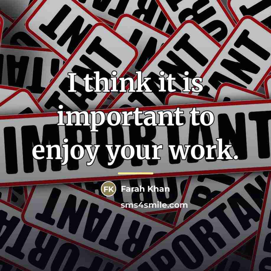 “I think it is important to enjoy your work.…” quote by Farah Khan