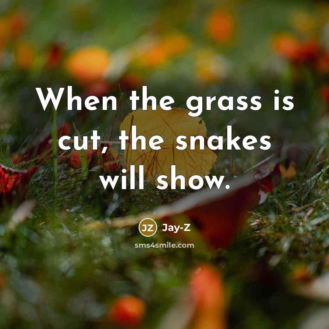 “When the grass is cut, the snakes will show.” quote by Jay-Z