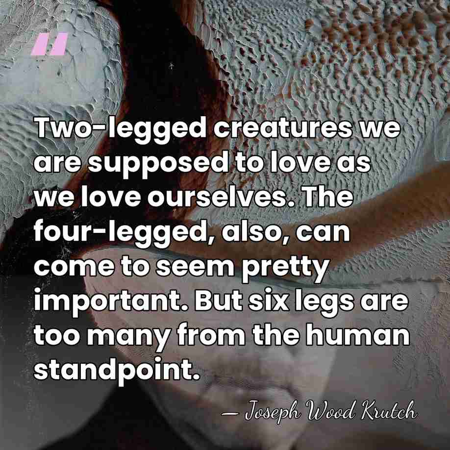 Two-legged creatures we are supposed to love as we love ourselves. The&hellip; - Joseph Wood Krutch