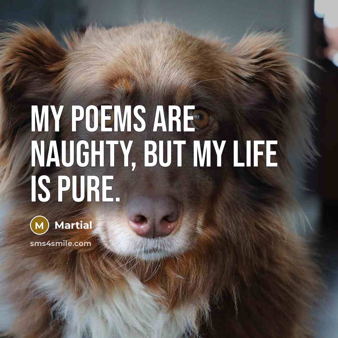 “My poems are naughty, but my life is pure.…” quote by Martial