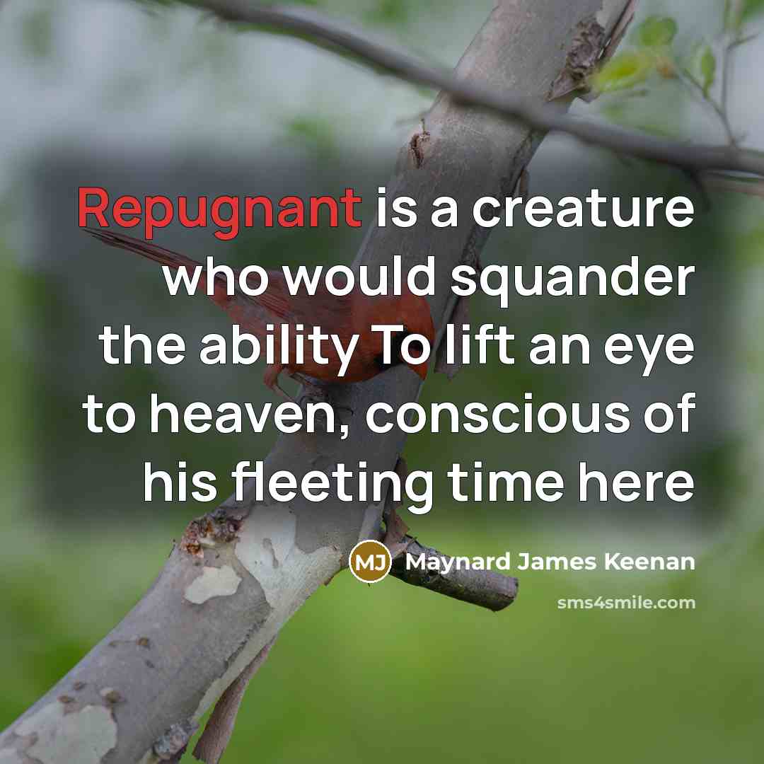 “Repugnant is a creature who would squander the ability To…” quote by Maynard James Keenan