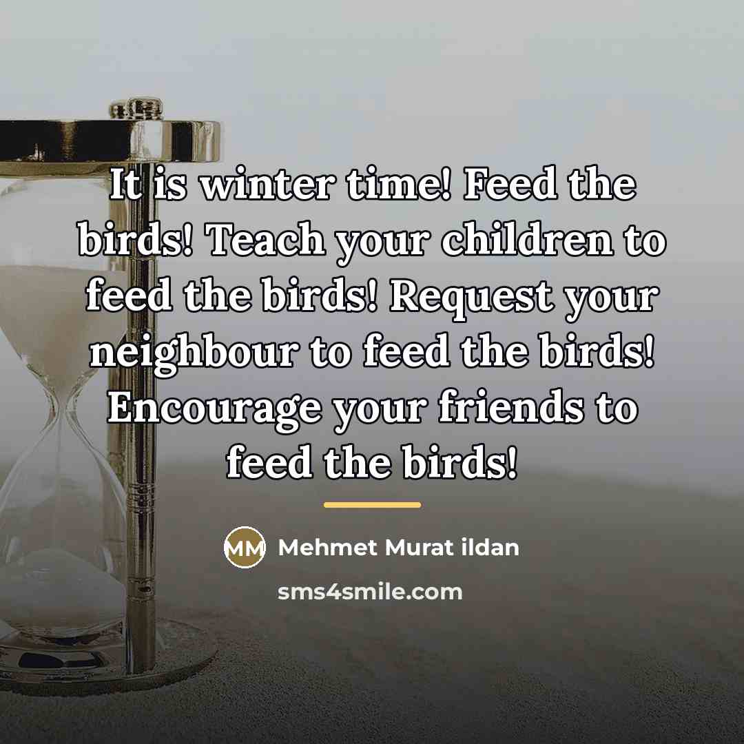 “It is winter time! Feed the birds! Teach your children…” quote by Mehmet Murat Ildan