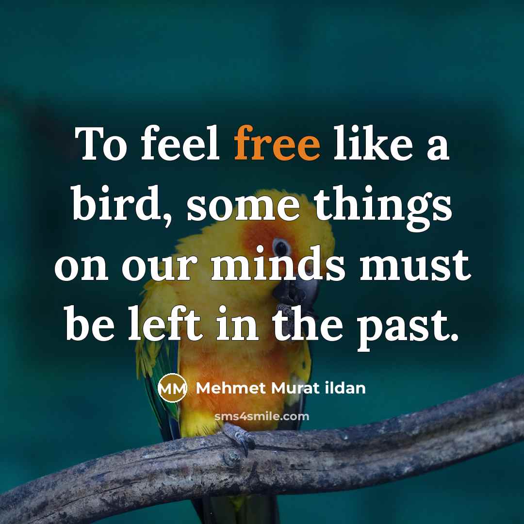“To feel free like a bird, some things on our…” quote by Mehmet Murat Ildan