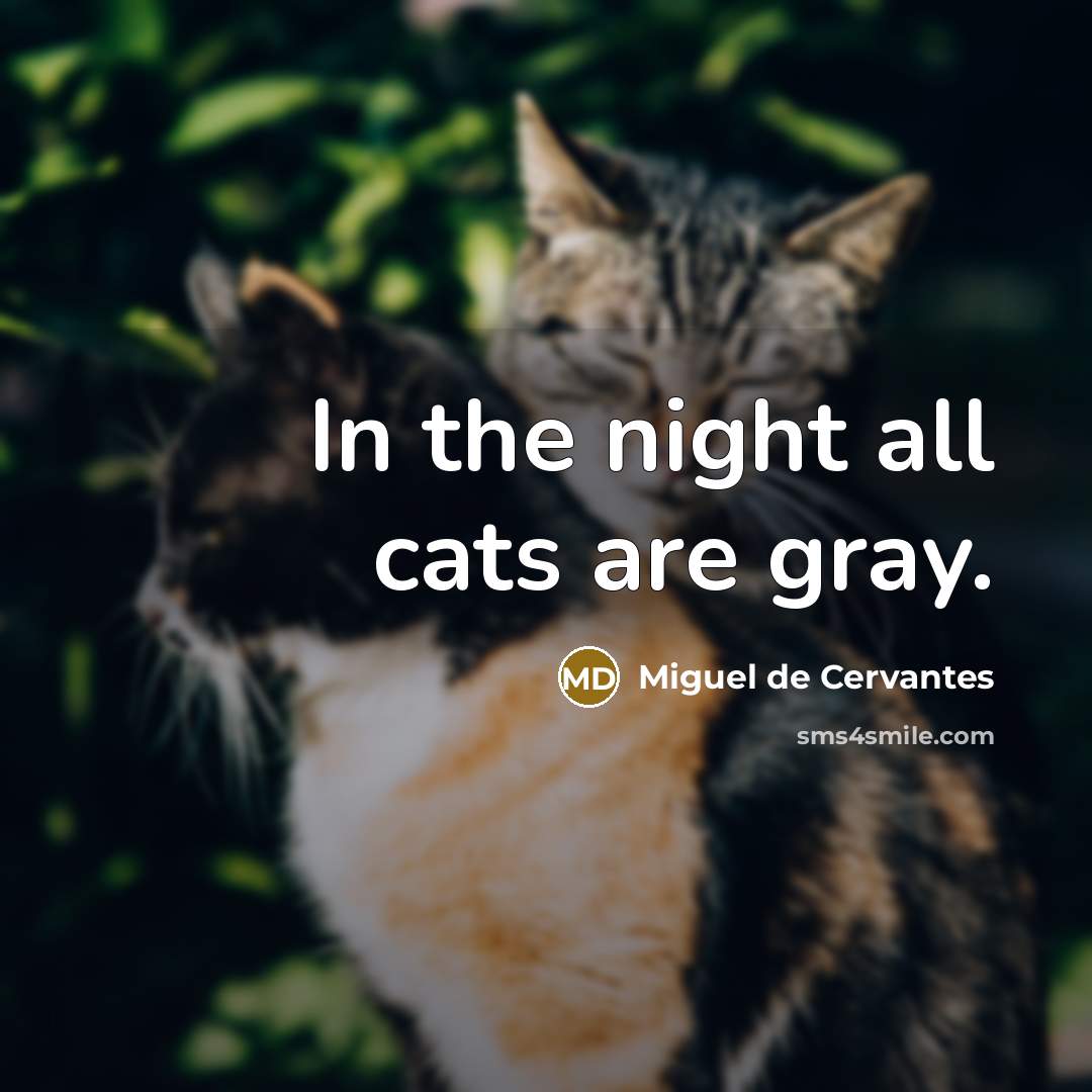 “In the night all cats are gray.…” quote by Miguel de Cervantes