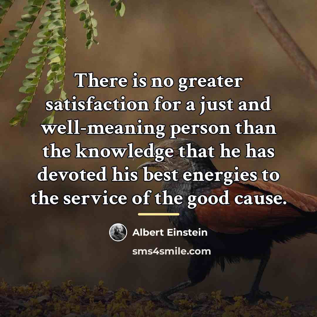 “There is no greater satisfaction for a just and well-meaning…” quote by Albert Einstein