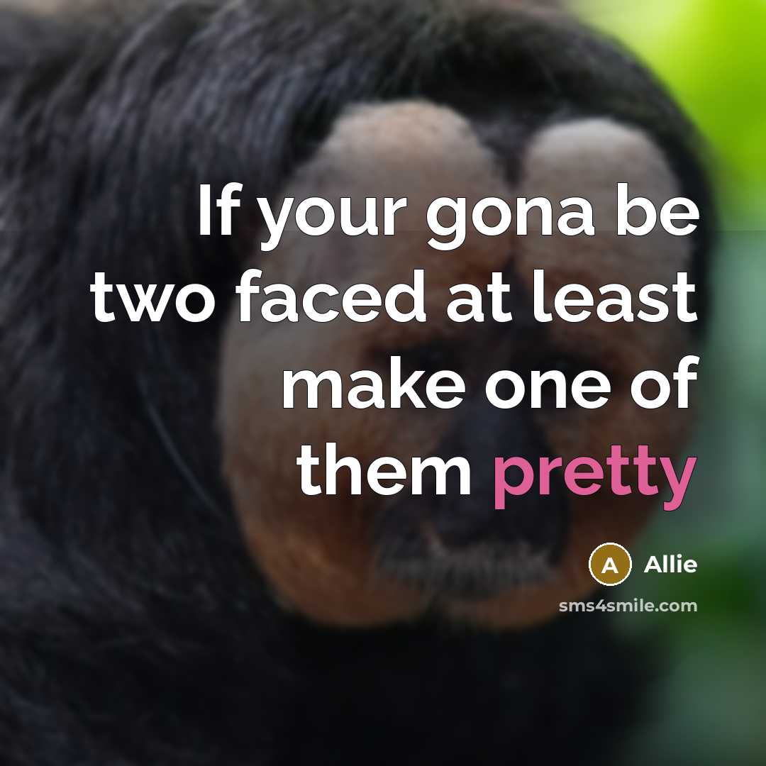 “If your gona be two faced at least make one of them pretty” quote by Allie