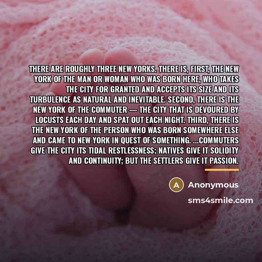“There are roughly three New Yorks. There is, first, the…” quote by Anonymous