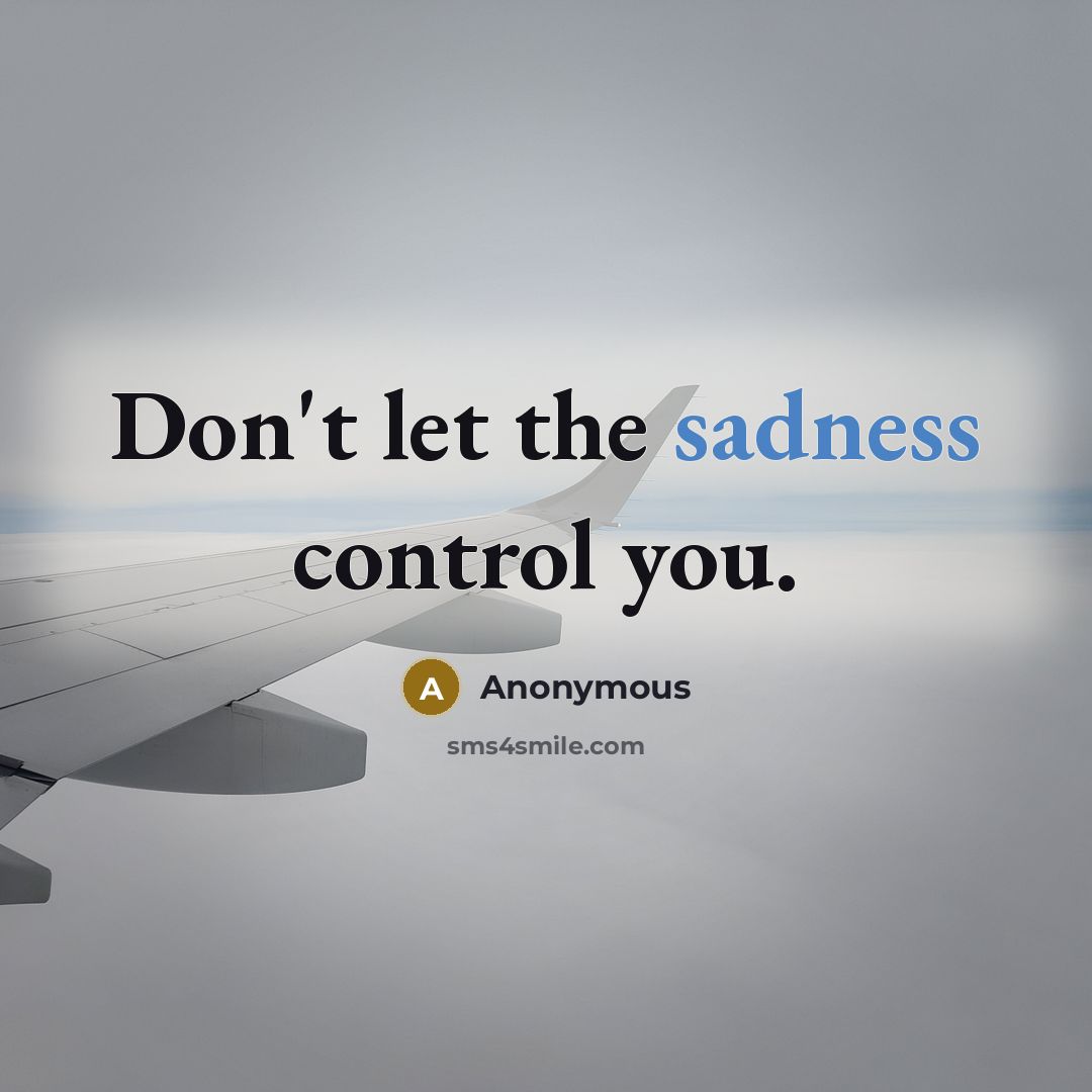 “Don't let the sadness control you.” quote by Anonymous