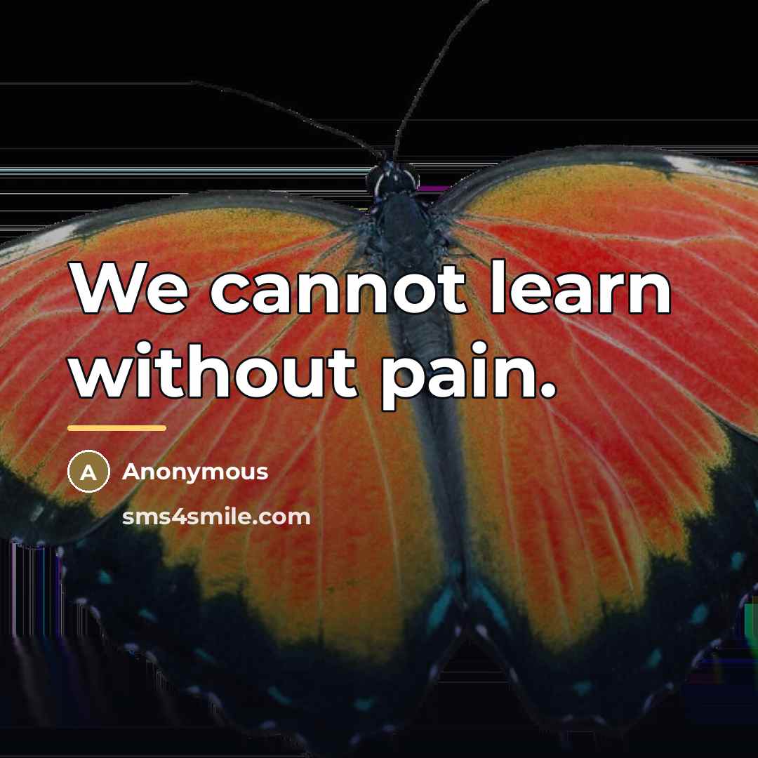 “We cannot learn without pain.…” quote by Anonymous