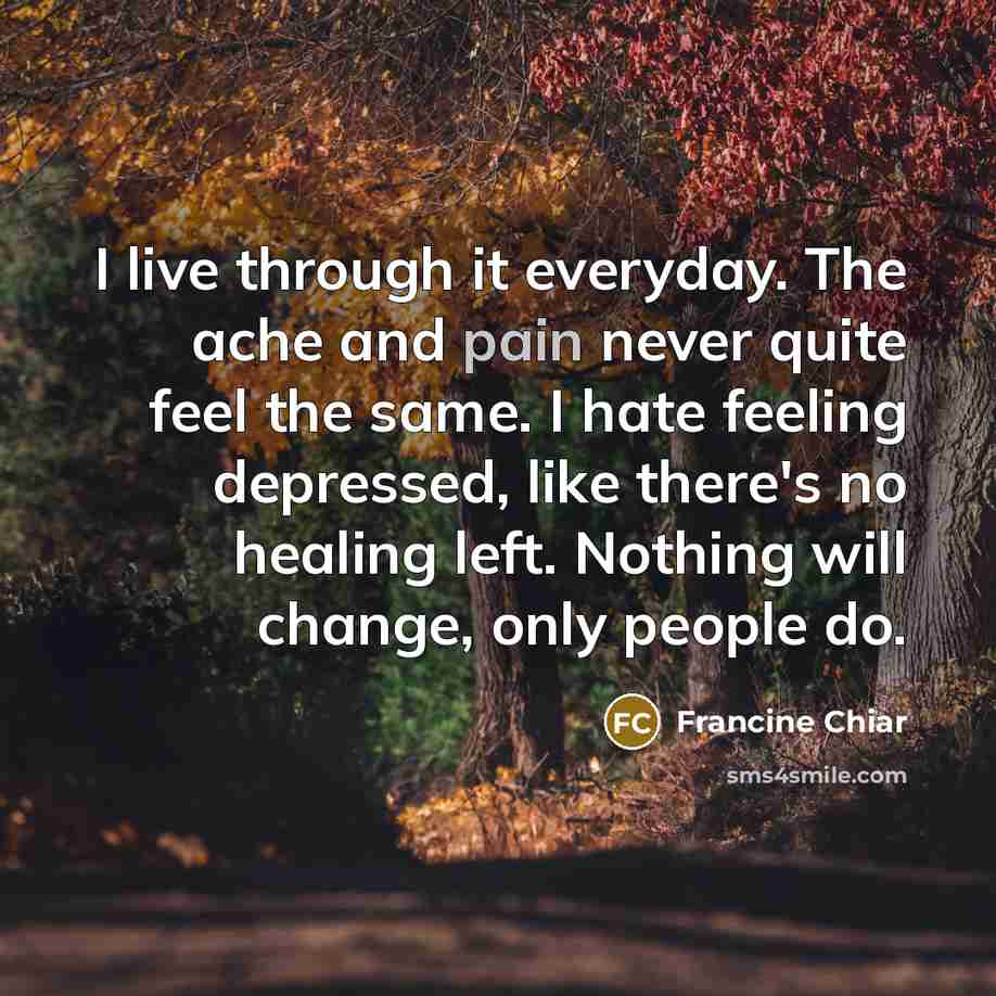 “I live through it everyday. The ache and pain never…” quote by Francine Chiar