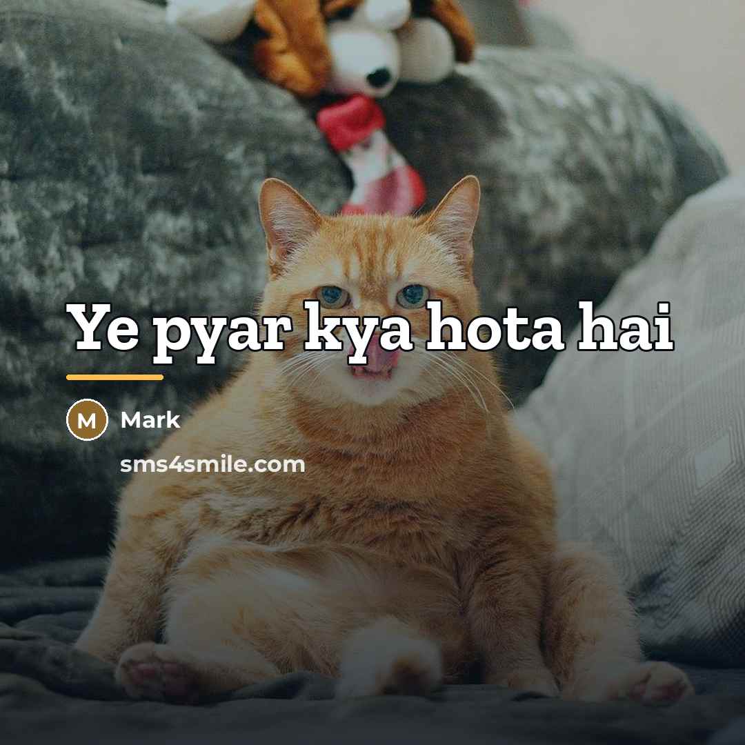“Ye pyar kya hota hai…” quote by Mark