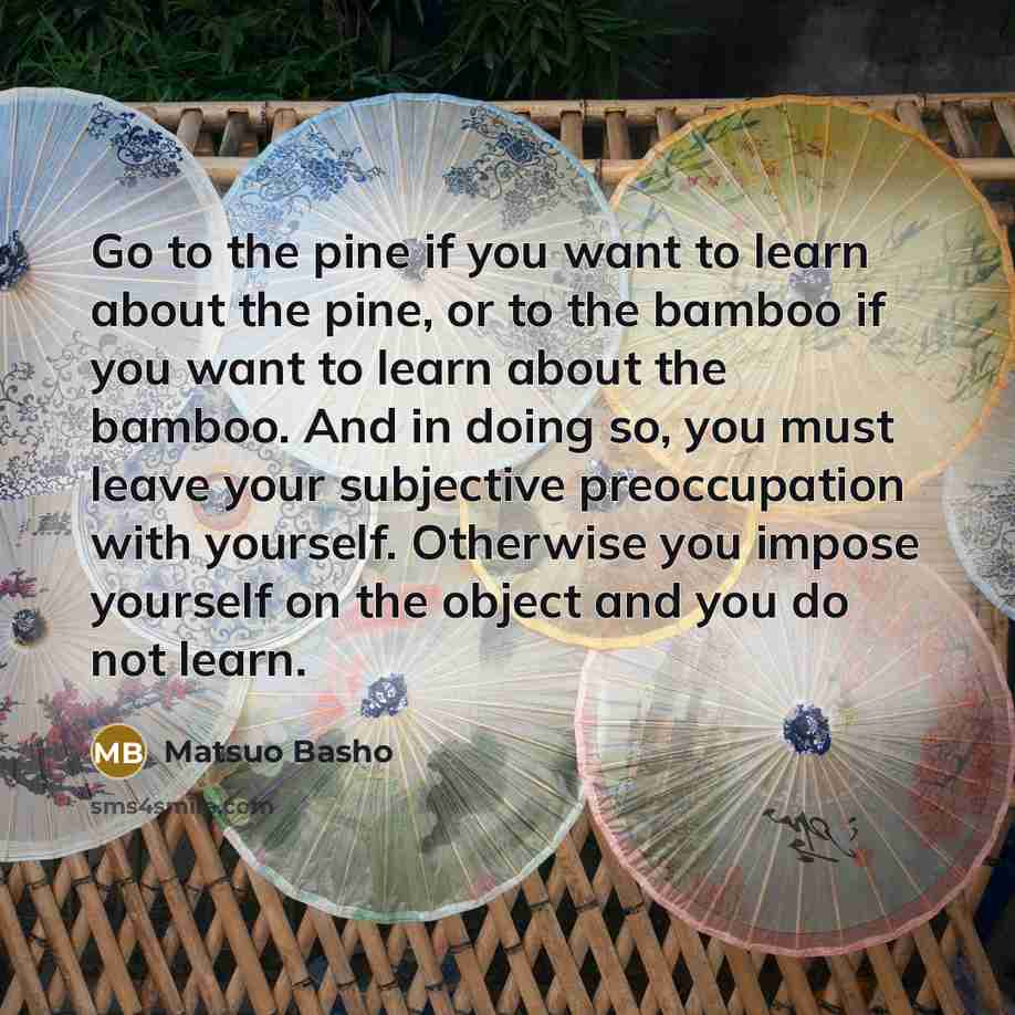 “Go to the pine if you want to learn about…” quote by Matsuo Basho