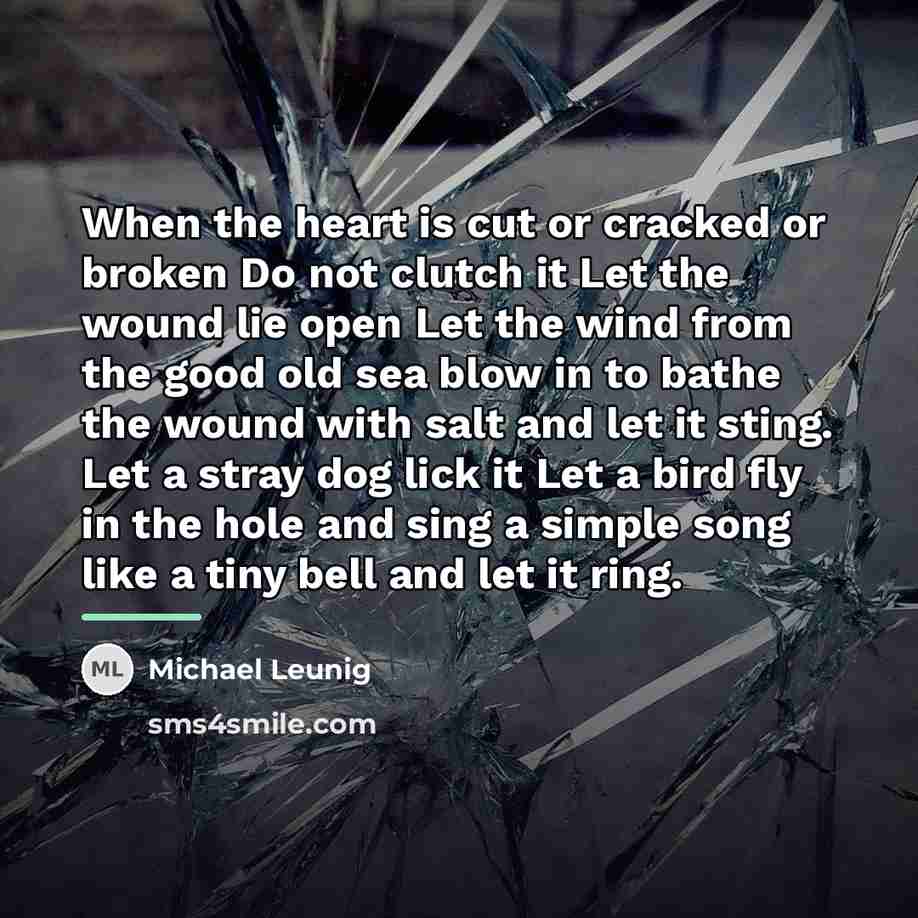 “When the heart is cut or cracked or broken Do…” quote by Michael Leunig
